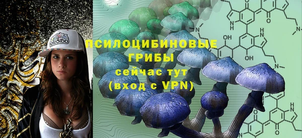 мдпв Володарск